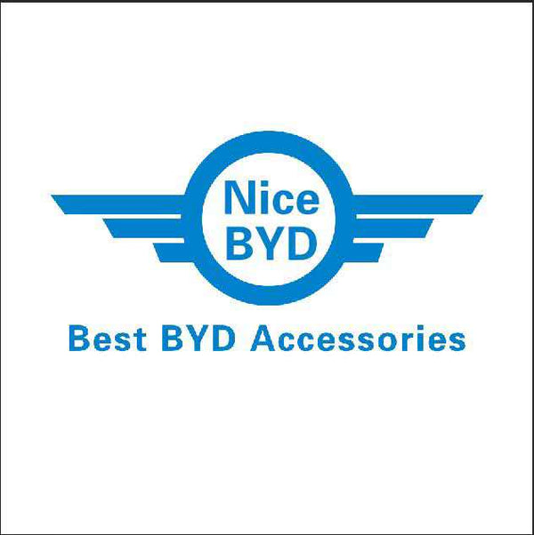Nice BYD