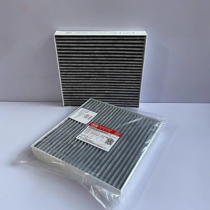 Cabin Air Filters for BYD Atto 3/Dolphin - Nice BYD