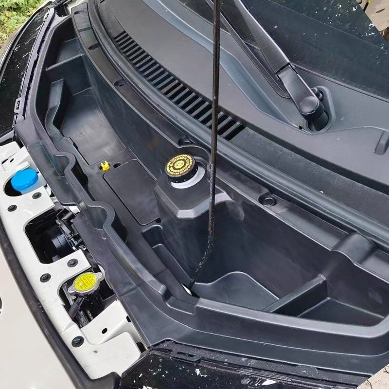 Custom Fit Frunk for BYD Dolphin Surf/ATTO 1 - Nice BYD