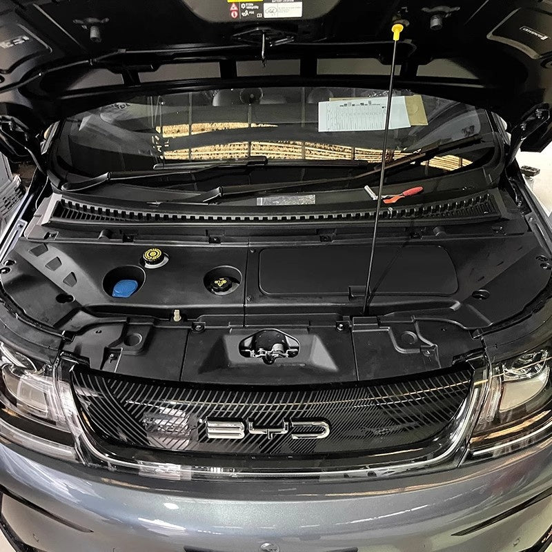 For BYD Dolphin Frunk - Nice BYD