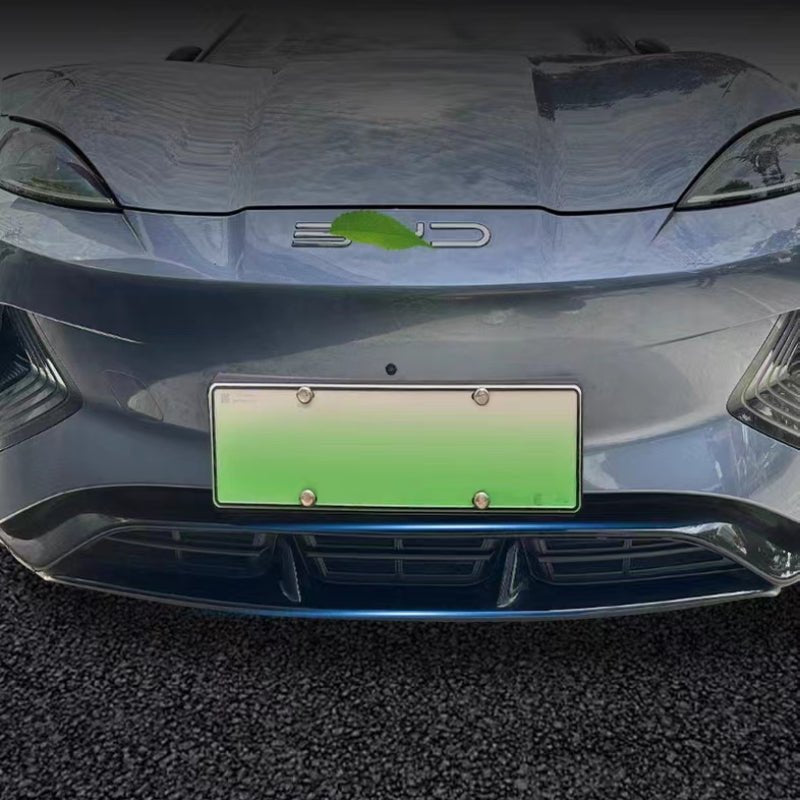 For BYD SEAL Grille Proof Net - Nice BYD