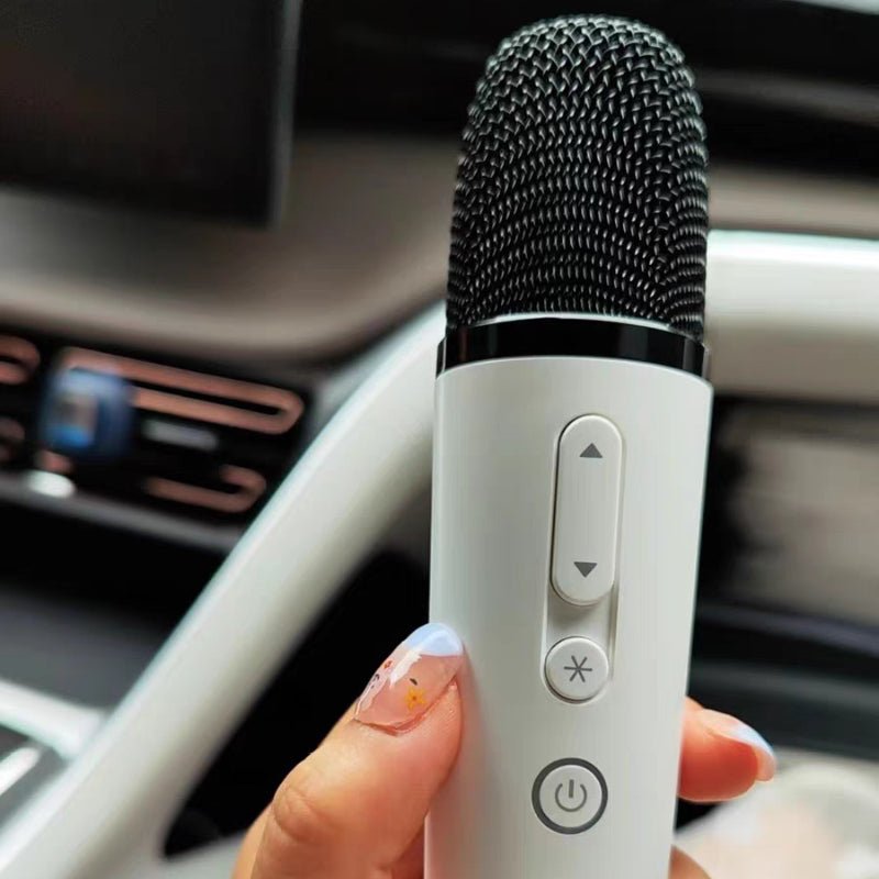 For BYD Song/Seal/Seal U/ Dolphin/Han /ATTO 3 Car Microphone With Receiver Car Karaoke Microphone - Nice BYD