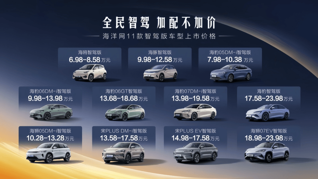 BYD 2025 Price Cuts - Nice BYD