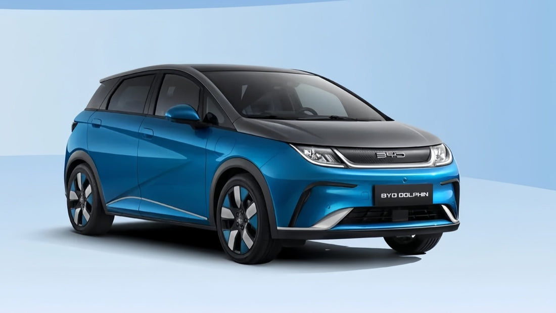 BYD Dolphin: Why It Stands Out Among Compact City EVs | NiceBYD - Nice BYD