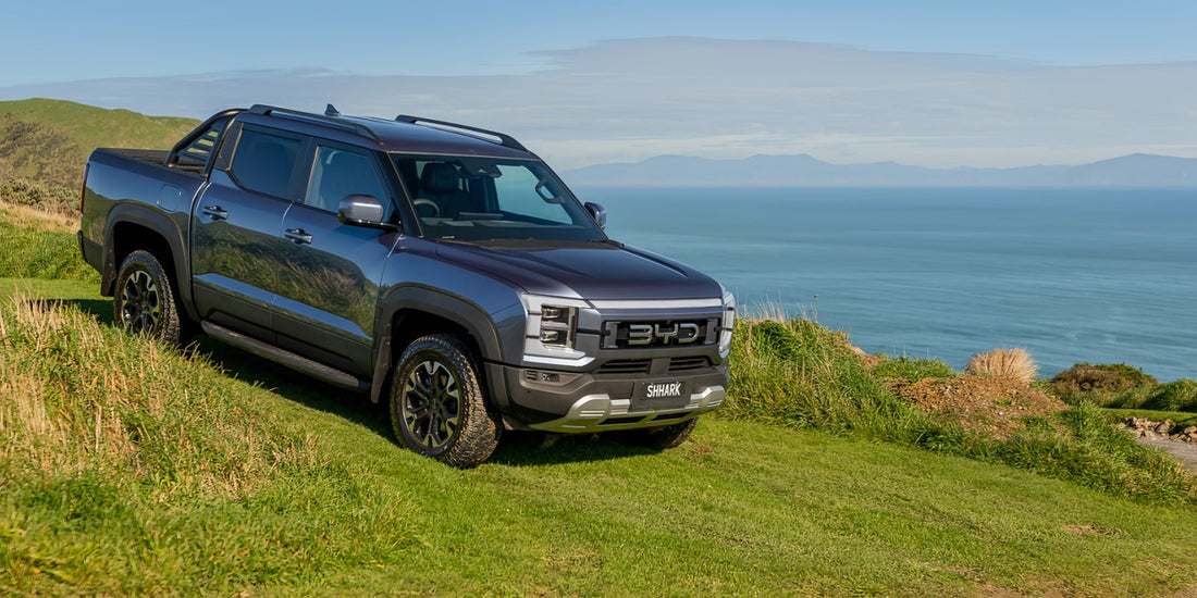 BYD Shark 6 (Shark): Hybrid Ute Custom Protective Accessories | NiceBYD - Nice BYD