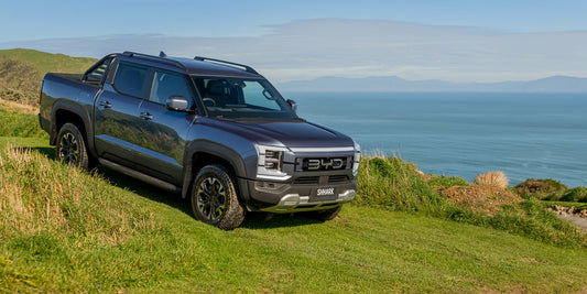 BYD Shark 6 (Shark): Hybrid Ute Custom Protective Accessories | NiceBYD - Nice BYD