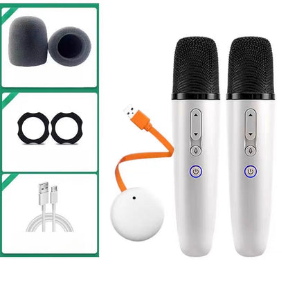 For BYD Song/Seal/Seal U/ Dolphin/Han /ATTO 3 Car Microphone With Receiver Car Karaoke Microphone
