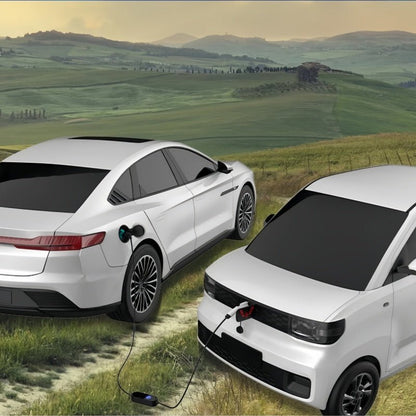 BYD V2L Discharge Adapter Type 2 - Nice BYD