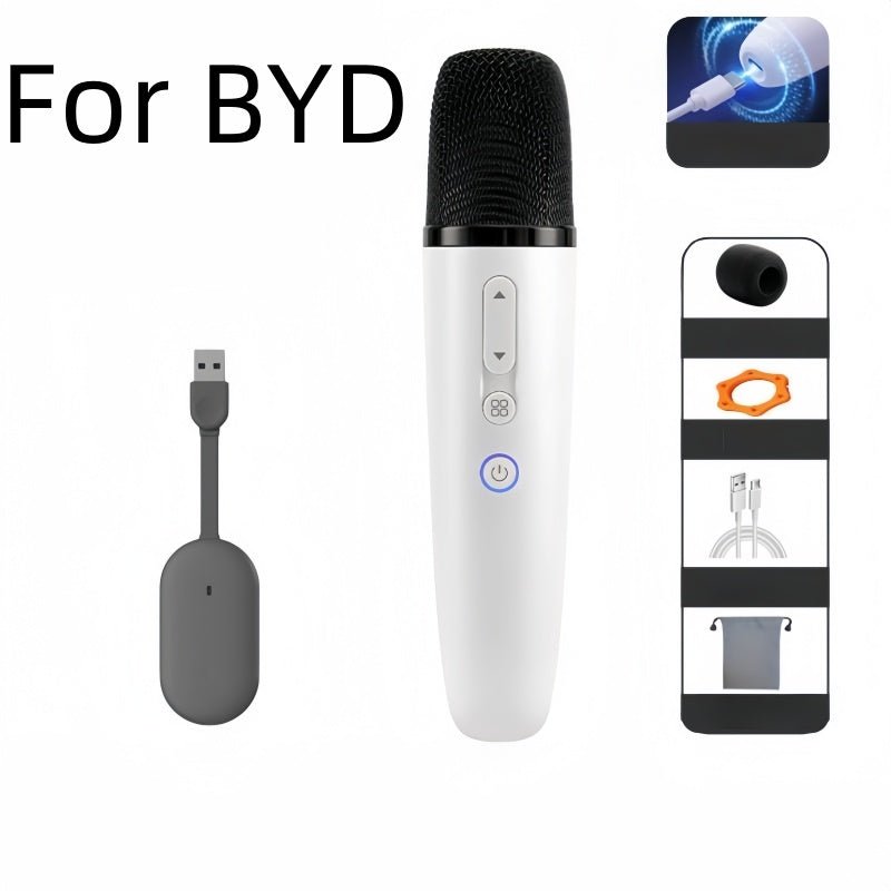 BYD Wireless Microphone Karaoke Mic for BYD - Nice BYD