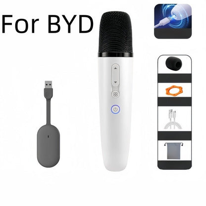 BYD Wireless Microphone Karaoke Mic for BYD - Nice BYD