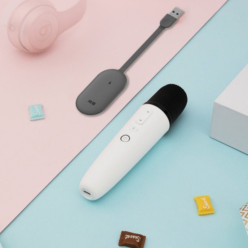 BYD Wireless Microphone Karaoke Mic for BYD - Nice BYD