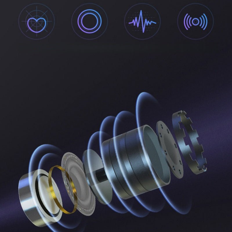 BYD Wireless Microphone Karaoke Mic for BYD - Nice BYD