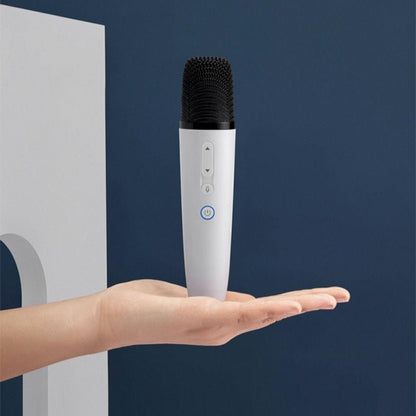 BYD Wireless Microphone Karaoke Mic for BYD - Nice BYD