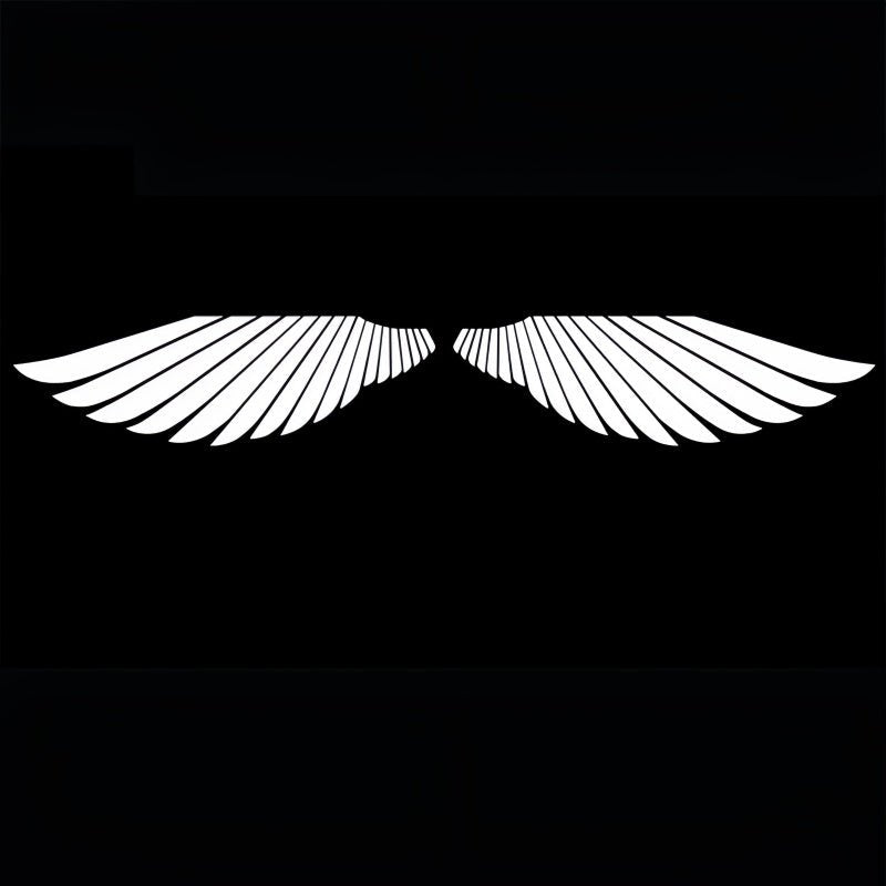 Puddle Light for BYD Seal 6 DM - i/Touring - Nice BYD