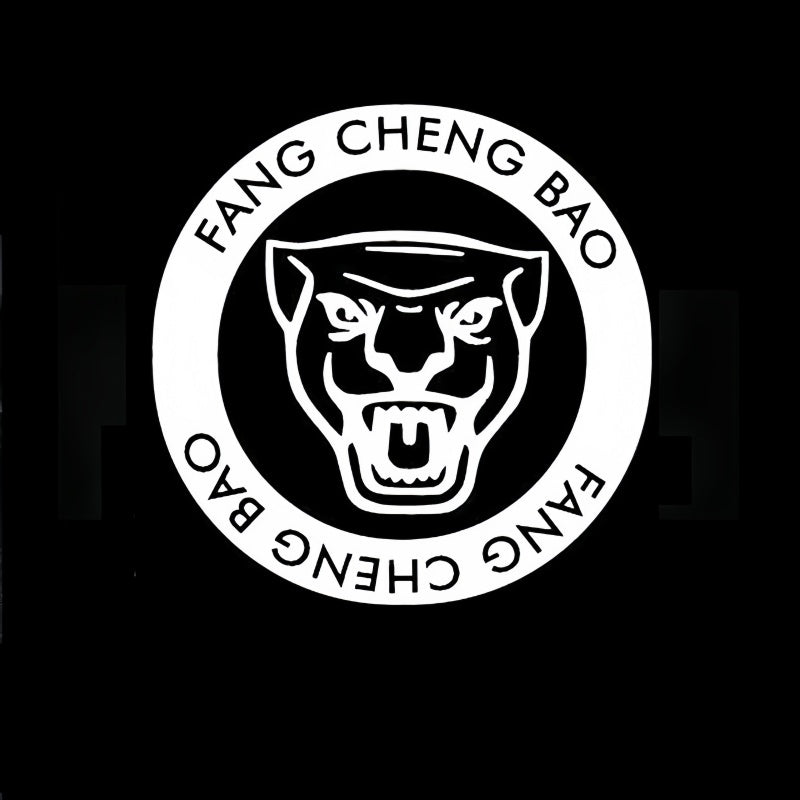Puddle Lights for Fangchengbao Leopard 5/Denza B5 - Nice BYD